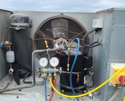 20210810_114304-1-400x324